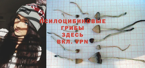 бутират Алзамай