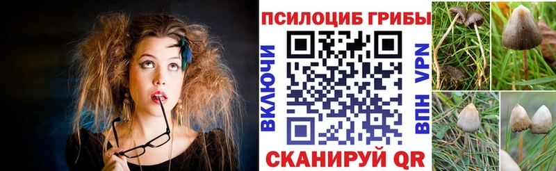 MEGA tor  Сасово  Галлюциногенные грибы мицелий  сколько стоит 